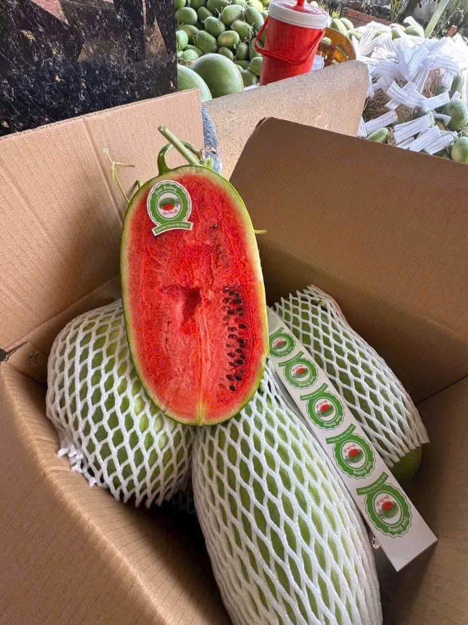 Dưa Hấu Đường